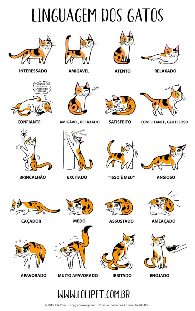 livro idioma felino funciona mesmo