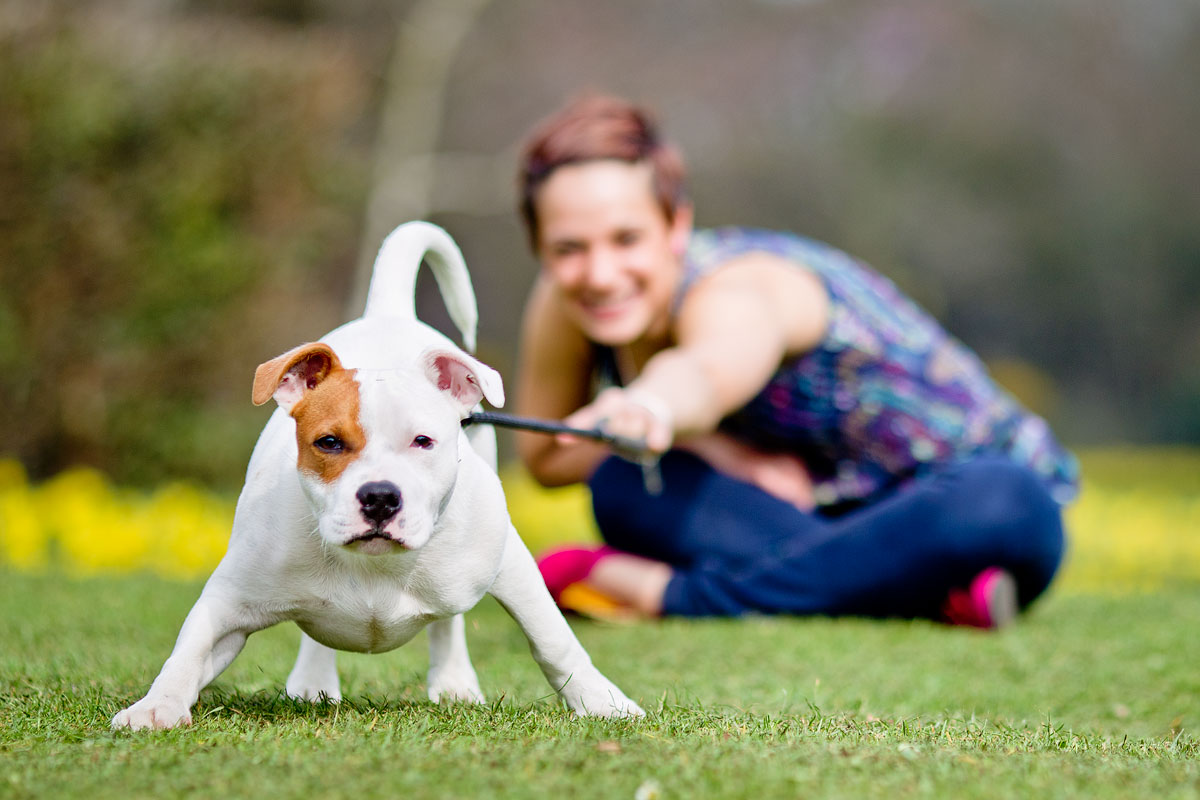 22 benefícios que cães trazem para a saúde humana!