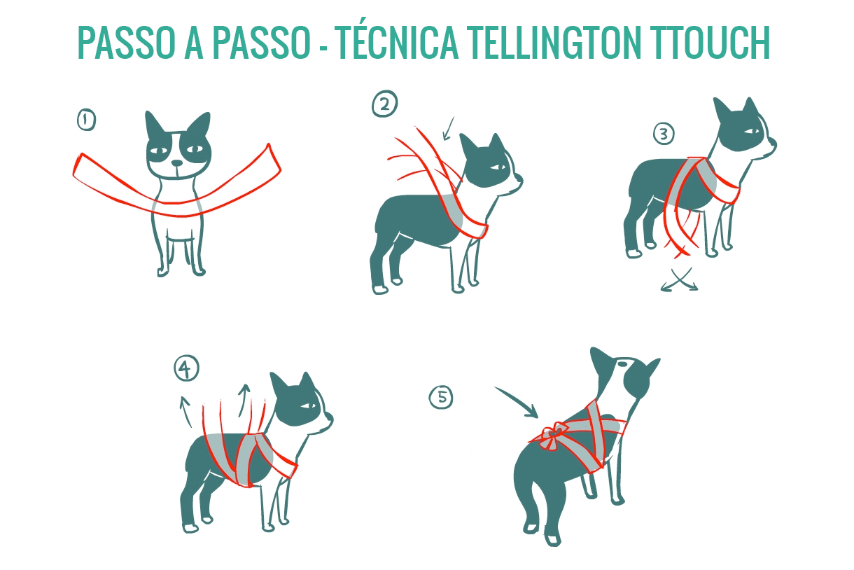 Técnica de amarração Tellington Ttouch para acalmar pets