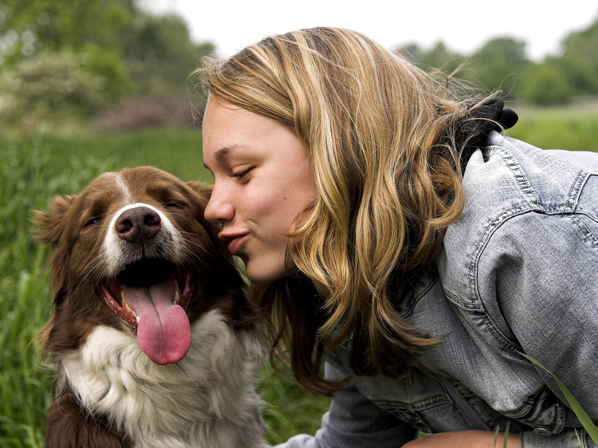 Compartilhar a vida com cães é maravilhoso, mas exige cuidados, responsabilidades e adaptação no estilo de vida.