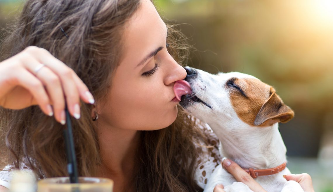 Lambida de cachorro, ou "beijo" canino, é muito comum e nós vamos entender porque eles fazem isso