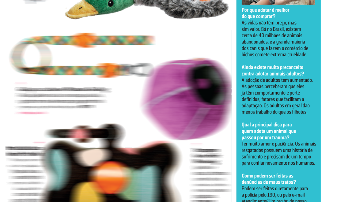 Revista Azul Magazine da Companhia aérea Azul, selecionou um dos brinquedos da Lolipet para a sessão Lifestyle.