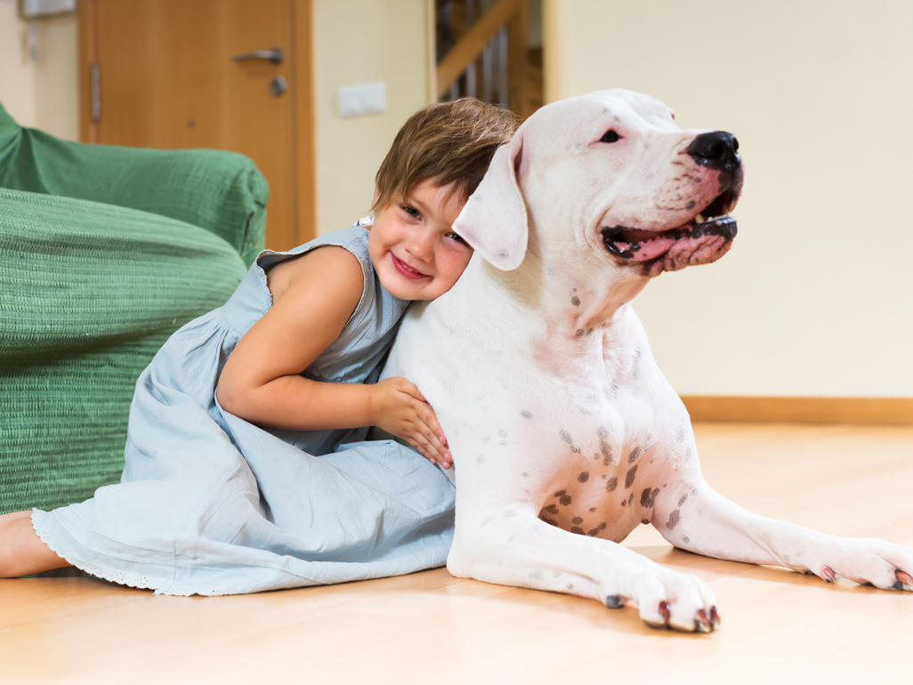 Cães e Crianças são grandes amigos, mas ambos precisam aprender a respeitar um ao outro 